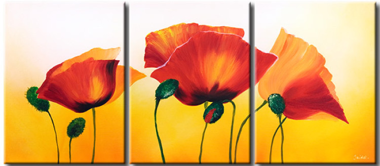 Canvas Sunny Nature (3-piece) - Flower composition on a bright background 48553