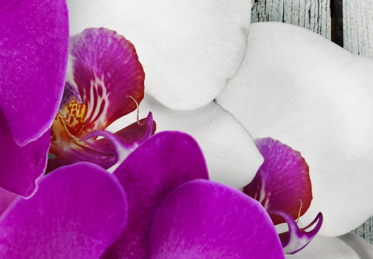 Canvas Art Print Harmony: orchid - Triptych 50453 additionalImage 4