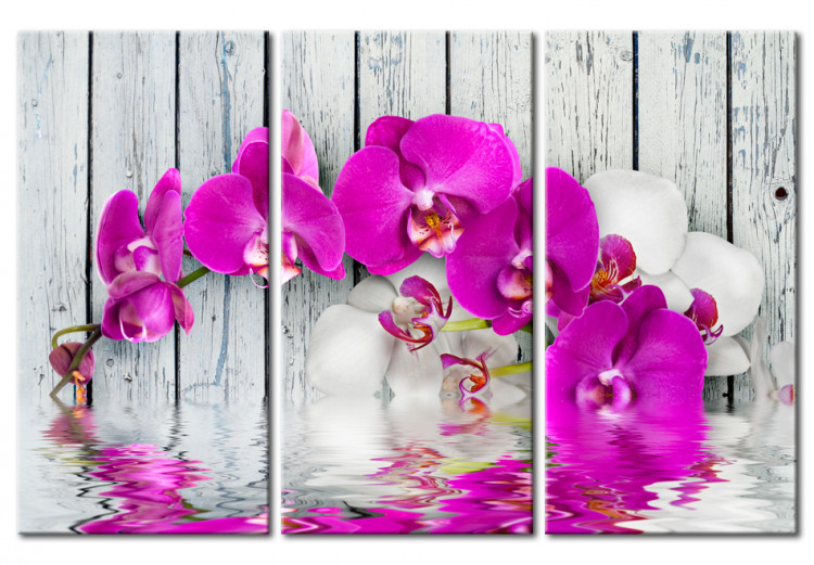 Canvas Art Print Harmony: orchid - Triptych 50453