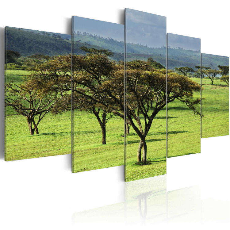 Canvas Art Print Green África 58653 additionalImage 2