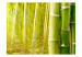 Wall Mural Orient - Nature Capture in Asian Style with Bamboo above Water Surface 61453 additionalThumb 1
