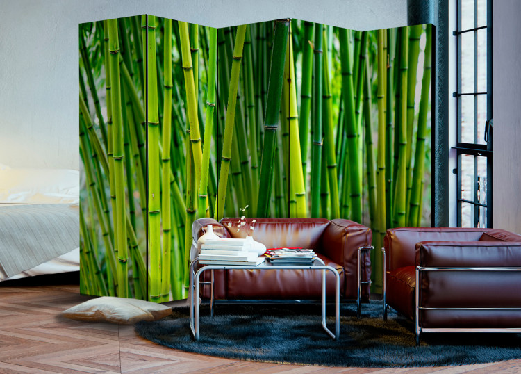 Room Divider Bamboo Forest II - green bamboo trees in an oriental motif 97353 additionalImage 4