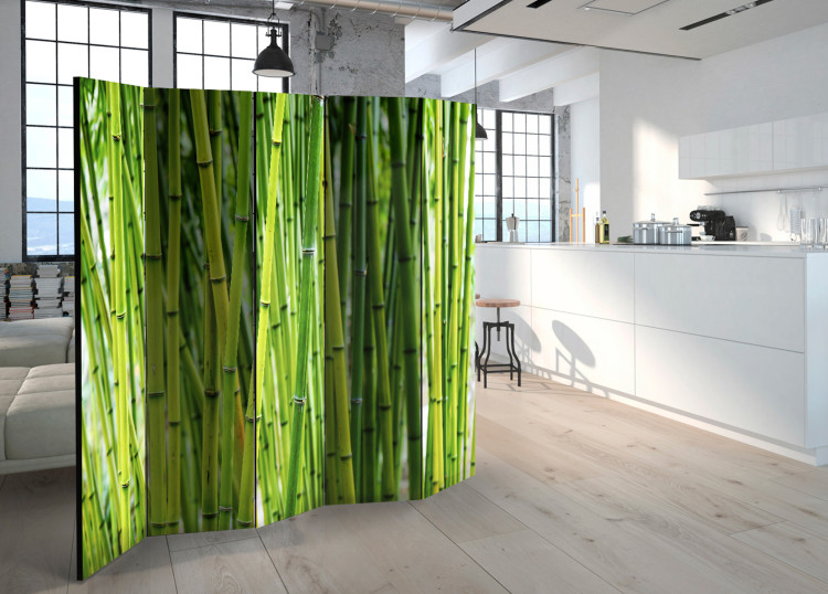 Room Divider Bamboo Forest II - green bamboo trees in an oriental motif 97353 additionalImage 2
