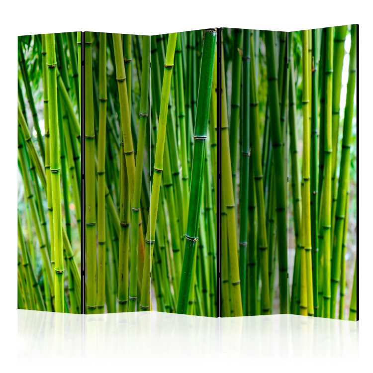 Room Divider Bamboo Forest II - green bamboo trees in an oriental motif 97353