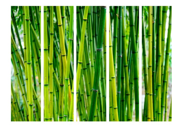 Room Divider Bamboo Forest II - green bamboo trees in an oriental motif 97353 additionalImage 3