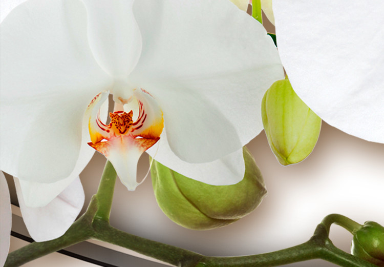 Canvas Blooming Orchids 106863 additionalImage 4