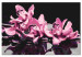 Paint by Number Kit Pink Orchid (Black Background) 107163 additionalThumb 6