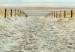 Canvas Sand Path (1 Part) Narrow 108263 additionalThumb 5
