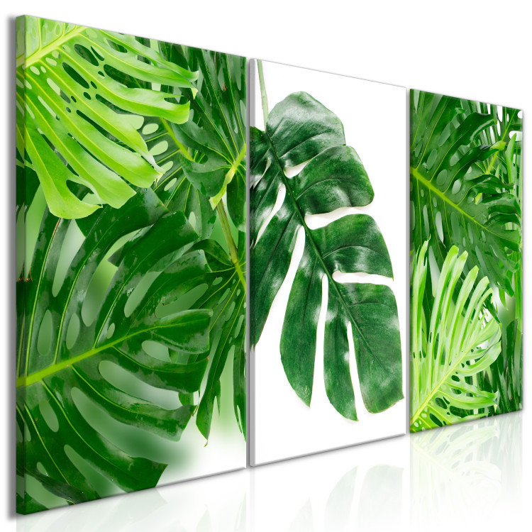 Canvas Art Print Palm Leaves (3 Parts) 108563 additionalImage 2