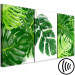 Canvas Art Print Palm Leaves (3 Parts) 108563 additionalThumb 6