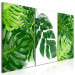 Canvas Art Print Palm Leaves (3 Parts) 108563 additionalThumb 2