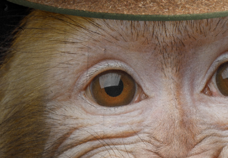 Wall Poster Monkey in a Hat - smiling monkey with mustaches in a cinematic shot 116363 additionalImage 9
