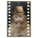 Wall Poster Monkey in a Hat - smiling monkey with mustaches in a cinematic shot 116363 additionalThumb 20