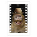 Wall Poster Monkey in a Hat - smiling monkey with mustaches in a cinematic shot 116363 additionalThumb 25