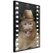 Wall Poster Monkey in a Hat - smiling monkey with mustaches in a cinematic shot 116363 additionalThumb 12