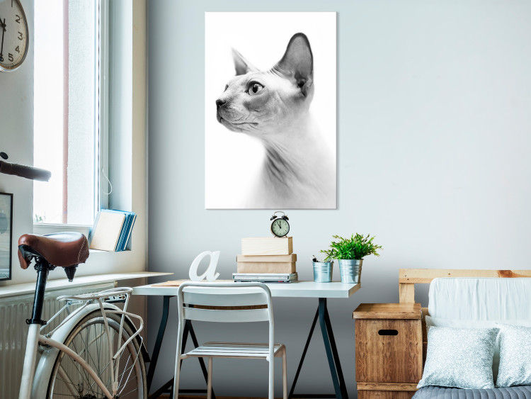 Canvas Pensive sphinx - black and white portrait of a cat in white 116463 additionalImage 3