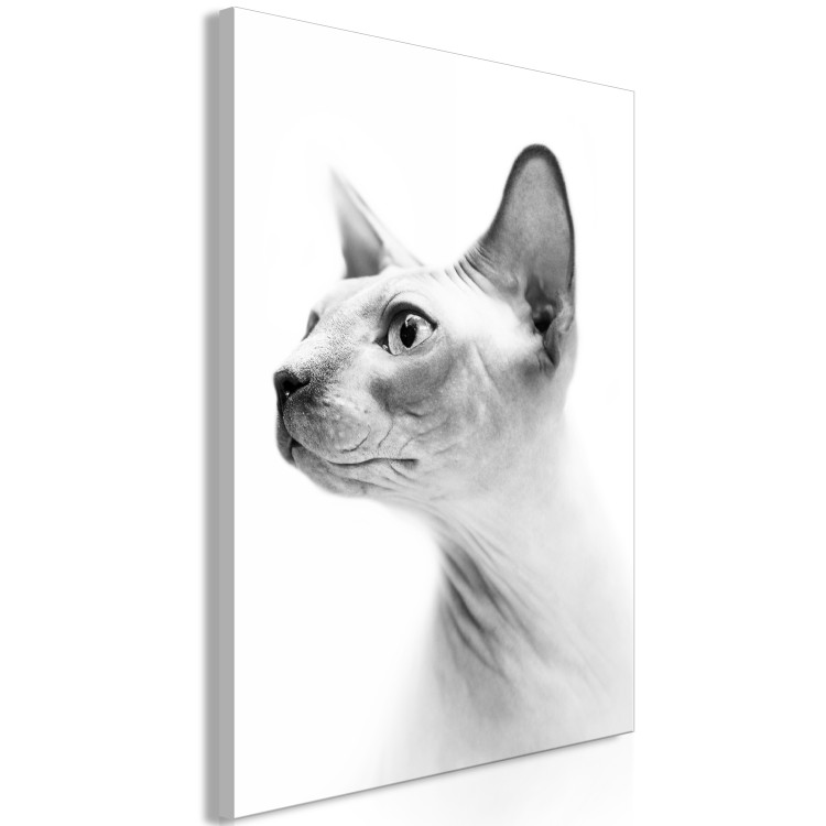Canvas Pensive sphinx - black and white portrait of a cat in white 116463 additionalImage 2