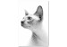 Canvas Pensive sphinx - black and white portrait of a cat in white 116463