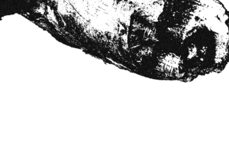 Poster Tree Branch - black and white composition with a dried piece of wood 116663 additionalImage 8