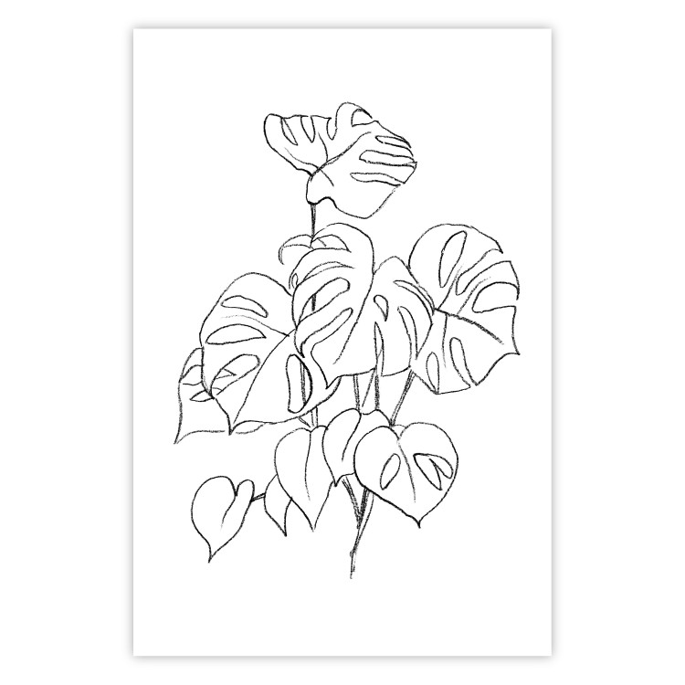 Poster Monochromatic Monstera - black and white line art in exotic leaves 119263