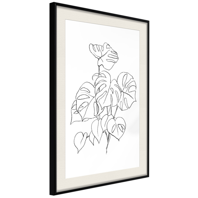Poster Monochromatic Monstera - black and white line art in exotic leaves 119263 additionalImage 3