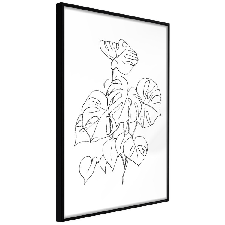 Poster Monochromatic Monstera - black and white line art in exotic leaves 119263 additionalImage 12