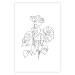 Poster Monochromatic Monstera - black and white line art in exotic leaves 119263 additionalThumb 25
