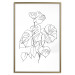 Poster Monochromatic Monstera - black and white line art in exotic leaves 119263 additionalThumb 20