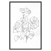 Poster Monochromatic Monstera - black and white line art in exotic leaves 119263 additionalThumb 24