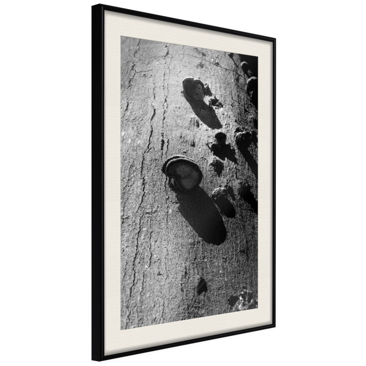 Poster Forest Fragment - black and white photograph of a tree with a fungus on the bark 122363 additionalImage 3