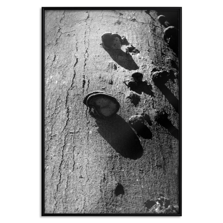 Poster Forest Fragment - black and white photograph of a tree with a fungus on the bark 122363 additionalImage 18