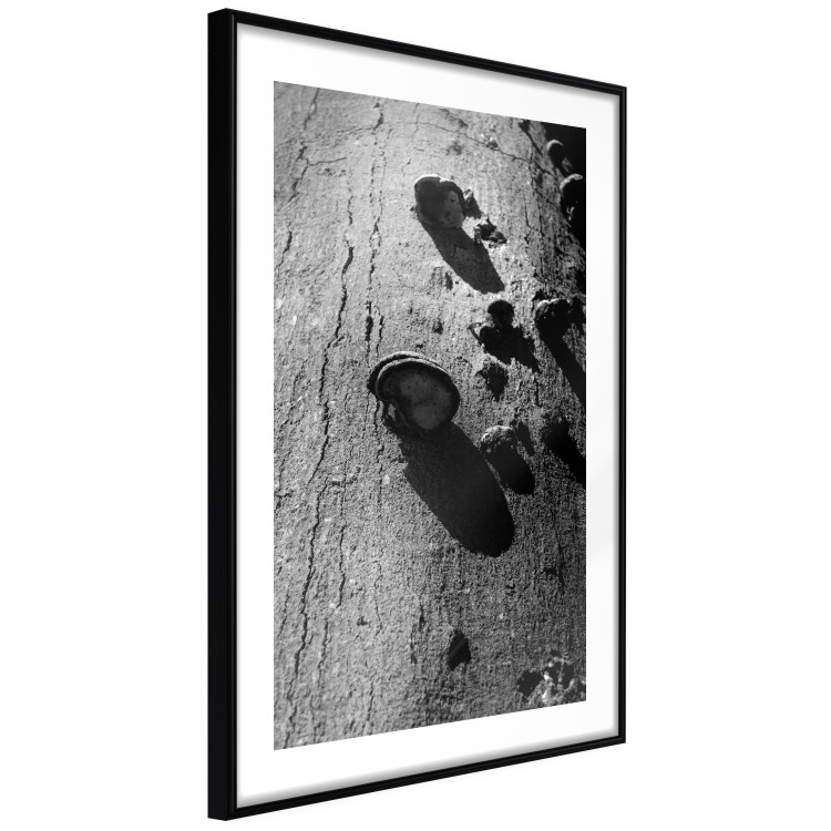 Poster Forest Fragment - black and white photograph of a tree with a fungus on the bark 122363 additionalImage 11