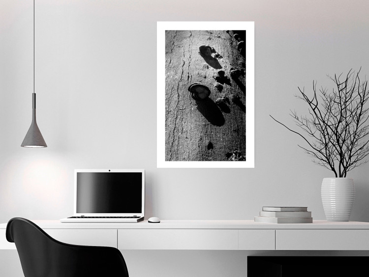 Poster Forest Fragment - black and white photograph of a tree with a fungus on the bark 122363 additionalImage 4