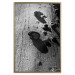 Poster Forest Fragment - black and white photograph of a tree with a fungus on the bark 122363 additionalThumb 20