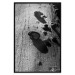Poster Forest Fragment - black and white photograph of a tree with a fungus on the bark 122363 additionalThumb 24