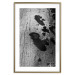 Poster Forest Fragment - black and white photograph of a tree with a fungus on the bark 122363 additionalThumb 14