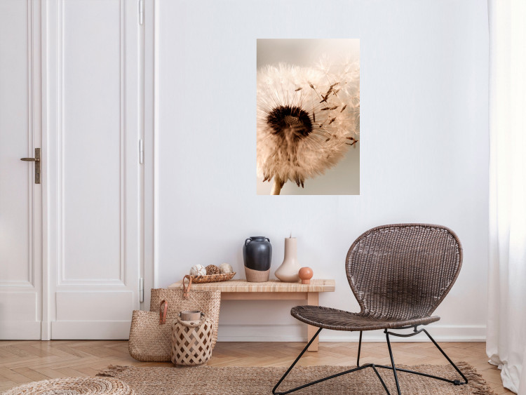 Poster Summer Breeze - blooming dandelion in wind in sepia motif 123763 additionalImage 17