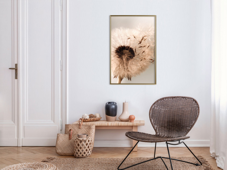 Poster Summer Breeze - blooming dandelion in wind in sepia motif 123763 additionalImage 5