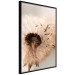 Poster Summer Breeze - blooming dandelion in wind in sepia motif 123763 additionalThumb 10