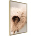 Poster Summer Breeze - blooming dandelion in wind in sepia motif 123763 additionalThumb 12