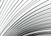 Poster Curve of Time - abstract black lines forming waves on white background 123863 additionalThumb 10