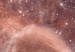 Wall Poster Cosmic Flamingo - bird against a cosmic background with pink stars 125863 additionalThumb 9