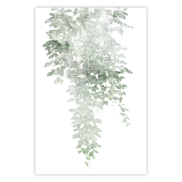 Poster Cascade of Greenery - plant with leaves on a gently blurred texture 126863