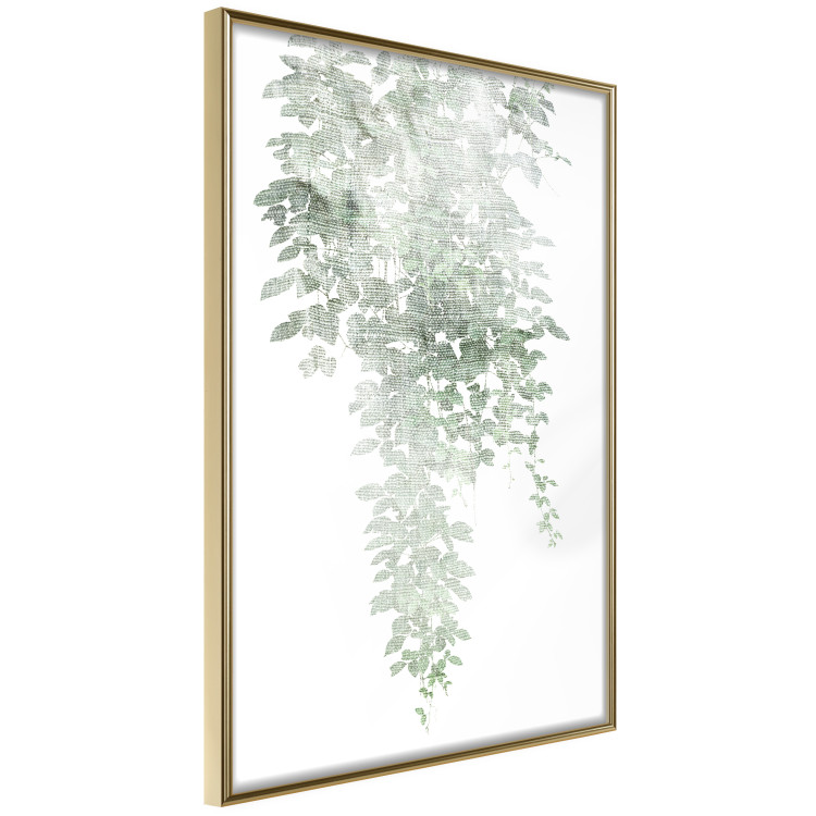 Poster Cascade of Greenery - plant with leaves on a gently blurred texture 126863 additionalImage 12