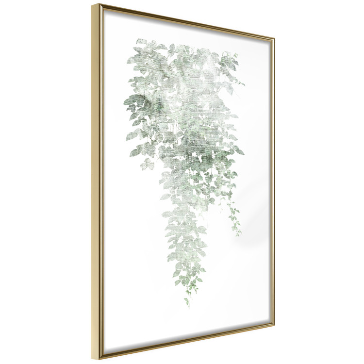 Poster Cascade of Greenery - plant with leaves on a gently blurred texture 126863 additionalImage 7