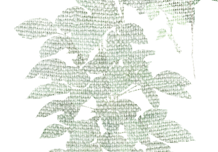 Poster Cascade of Greenery - plant with leaves on a gently blurred texture 126863 additionalImage 11