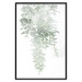 Poster Cascade of Greenery - plant with leaves on a gently blurred texture 126863 additionalThumb 15