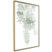 Poster Cascade of Greenery - plant with leaves on a gently blurred texture 126863 additionalThumb 14