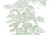 Poster Cascade of Greenery - plant with leaves on a gently blurred texture 126863 additionalThumb 9