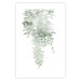 Poster Cascade of Greenery - plant with leaves on a gently blurred texture 126863 additionalThumb 25